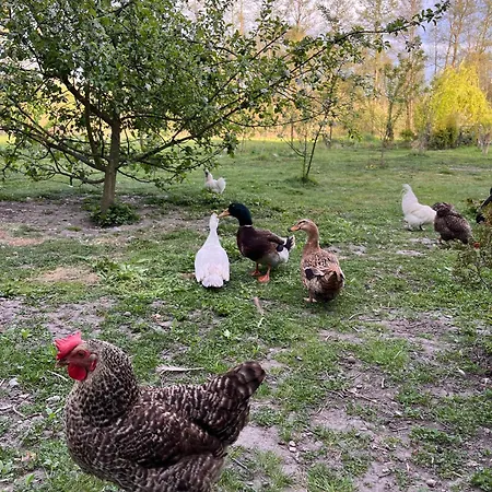 Appartamento Nad Stawem