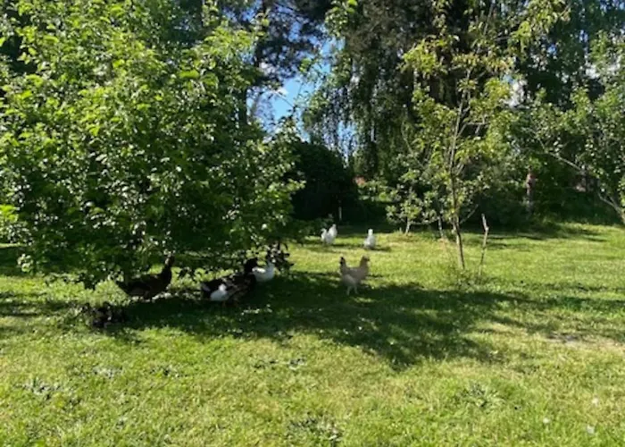 Apartamento Nad Stawem